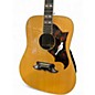 Used Ibanez Concord 693 sunburst Acoustic Guitar