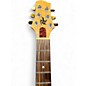 Used Rogue HH Ash Ash Solid Body Electric Guitar