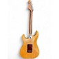 Used Fender Limited American Professional Stratocaster Roasted Ash Satin Natural Solid Body Electric Guitar