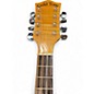 Used Gold Tone MB850+ Maple Mandolin