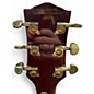 Used Firefly ELITE Spalted Maple Solid Body Electric Guitar