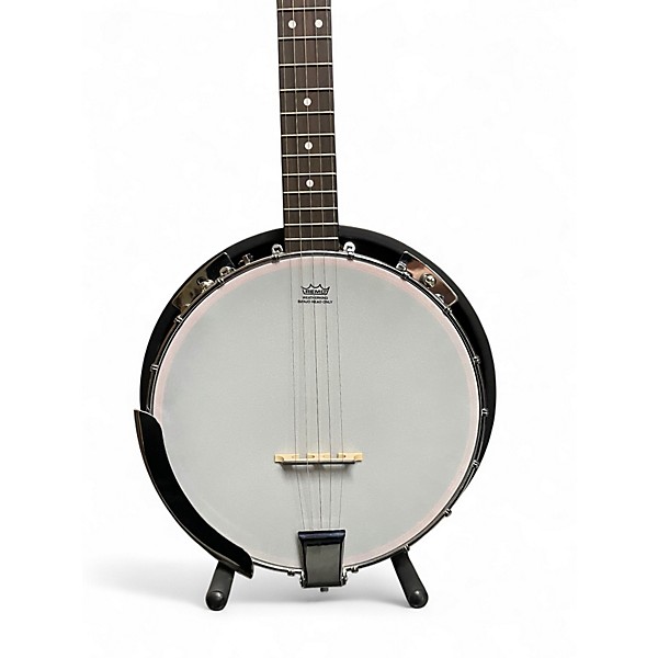 Used Washburn B-8 Natural Banjo
