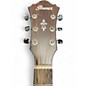 Used Ibanez AE100 Buffalo Flat Acoustic Electric Guitar