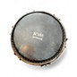 Used Gon Bops Acuna Series Conga