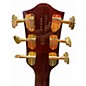 Used Gretsch Guitars G6122T Chet Atkins Country Gentleman Mahogany Hollow Body Electric Guitar