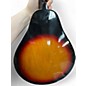 Used Harmony M100 Sunburst Mandolin