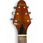 Used Harmony V666 Walnut Solid Body Electric Guitar