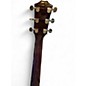Used Taylor T5-S1 Maple Hollow Body Electric Guitar