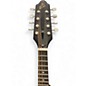Used Recording King RM-993 Black Chrome Acoustic Guitar