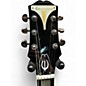 Used Rogue Mandolin Black Mandolin