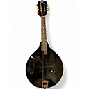 Recording King Mandolins | Guitar Center