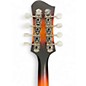 Used Gold Tone F-12 Tobacco Burst Mandolin