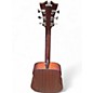 Used D'Angelico PREMIER TAMMY LS ACOUSTIC Brown Acoustic Electric Guitar