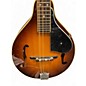 Used 1980s Washburn M2 Sunburst Mandolin
