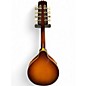 Used 1980s Washburn M2 Sunburst Mandolin