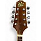 Used Rogue RM100A A Style 2 Color Sunburst Mandolin