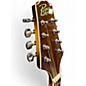 Used Rogue RM100A A Style 2 Color Sunburst Mandolin
