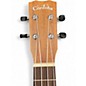Used Cordoba 28CE Walnut Ukulele