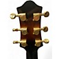 Used Gretsch Guitars G3100 HAWAIIAN BURST Acoustic Guitar