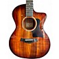 Used 2021 Taylor 224CEKDLX Mahogany Acoustic Electric Guitar