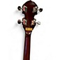 Vintage 1980s Kay Import Banjo Natural Banjo