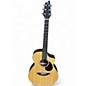 Used Breedlove Passport PLUS C250/SBE Natural Acoustic Electric Guitar thumbnail