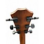 Used Taylor 324CE Mahogany Acoustic Electric Guitar