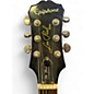 Used Epiphone Les Paul Standard Gold Solid Body Electric Guitar