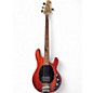 Used Sterling by Music Man Ray4 Walnut Electric Bass Guitar thumbnail