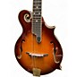 Used Danville MA-009 2 Color Sunburst Mandolin