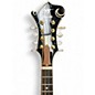 Used Danville MA-009 2 Color Sunburst Mandolin
