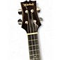 Used Mitchell MU70 Concert Natural Ukulele