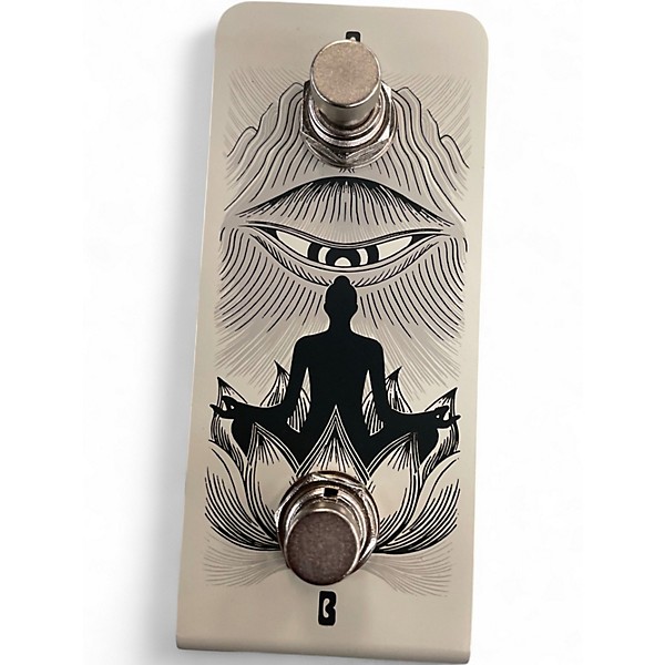 Used Anima Dual Footswitch Pedal