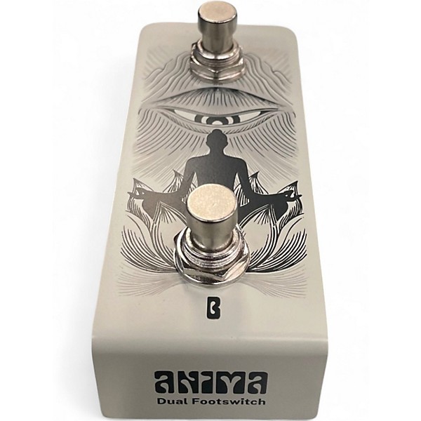 Used Anima Dual Footswitch Pedal