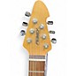 Used Peavey Raptor Plus Black Solid Body Electric Guitar