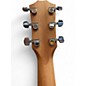 Used Taylor 214CE SPECIAL EDITION Honey Burst Acoustic Electric Guitar