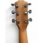 Used Taylor 214CE SPECIAL EDITION Honey Burst Acoustic Electric Guitar