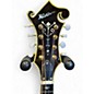 Used Washburn M3SWTS Sunburst Mandolin