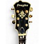 Used Douglas WNO650 Sunburst Hollow Body Electric Guitar