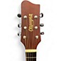 Used Olympia By Tacoma OP-2 Natural Acoustic Guitar