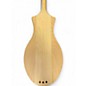 Used Seagull m4 Natural Dulcimer