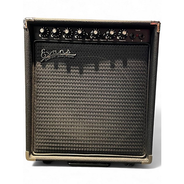 Used Evans RE150 150W Tube-Pre 1x10 Combo Tube Guitar Combo Amp