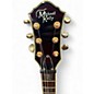Used Michael Kelly Patriot Amber Solid Body Electric Guitar