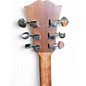 Used Dowina ANTIQUE SERIES Natural Acoustic Guitar