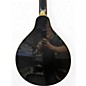 Used Samick SM20E/AM Cherry Sunburst Mandolin
