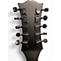 Used Cantabella BAJO QUINTO Black