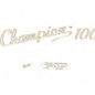 Used Fender Champion 100 Guitar Combo Amp