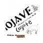 Used Majave Coyote HG 12W Stack Guitar Stack