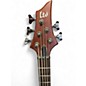 Used ESP LTD D5 5 String Mahogany Electric Bass Guitar