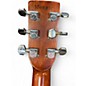 Used Morris w30 Natural Acoustic Guitar